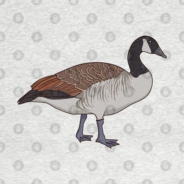 Drawing of a Canada Goose by Modern Medieval Design